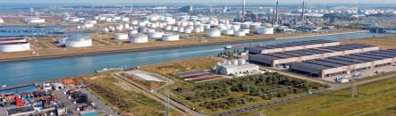 Нафта дещо дорожчає, попри рекордні запаси в США 