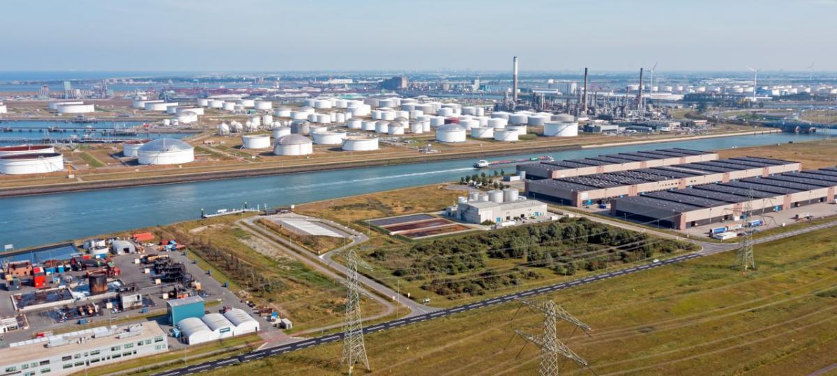 Нафта дещо дорожчає, попри рекордні запаси в США 